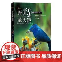 野鸟放大镜住行篇(自然观察丛书) 许晋荣 著 商务印书馆 正版书籍