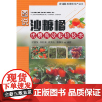 图说沙糖橘优质栽培技术