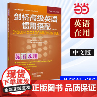 [ 正版书籍]外研社 剑桥英语惯用搭配(剑桥英语在用English in Use丛书)(中文版)(剑桥英语在用丛书)