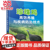 珍珠鸡高效养殖与疾病防治技术 李顺才 化学工业出版社 正版书籍