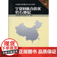 宁厦回族自治区岩石地层