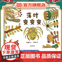 落叶变变变(用落叶拼贴变魔术)