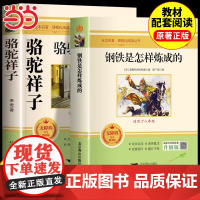 骆驼祥子和钢铁是怎样炼成的原著完整版七年级必读正版名著老舍初一下册课外书初中课外阅读书籍7下配套人教版海底两万里怎么样练