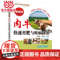 肉牛快速育肥与疾病防治 视频版