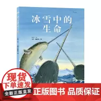冰雪中的生命