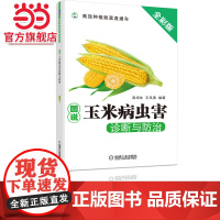 图说玉米病虫害诊断与防治
