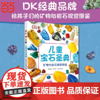 正版童书 DK儿童宝石盛典 矿物与岩石视觉图鉴 万物透视图解万物青少年人文科普百科微观世界狂野地球 鉴