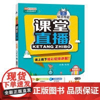 1+1轻巧夺冠课堂直播:九年级下册 化学人教版 同步视频讲解 2024年春适用