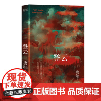九州·登云(核心作家唐缺作品) 唐缺 北京联合出版有限公司 正版书籍
