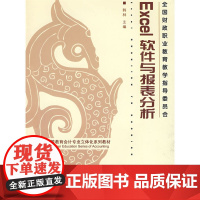 EXCEL软件与财务报表分析