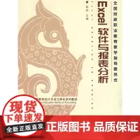 EXCEL软件与财务报表分析
