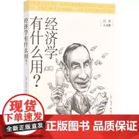 经济学有什么用?(日常人文课) 泰吉万·帕丁格 译林出版社 正版书籍