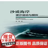 沙质海岸泥沙运动与模拟