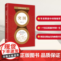 百部红色经典: 突围(电影《集结号》原著作者杨金远经典军事力作,导演冯小刚、黄健中倾情!)