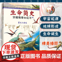 生命简史 穿越地球46亿年 翼龙与海龙 6-12-15岁儿童中小学生青少年科普读物 宇宙起源地球形成生命诞生史前世界探索