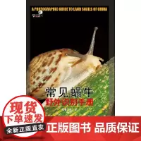 常见蜗牛野外识别手册