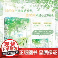 想见你 青凩 天津人民出版社 正版书籍