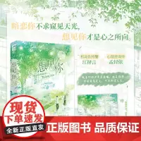 想见你 青凩 天津人民出版社 正版书籍