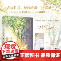 到你的太阳里 木甜,大鱼文化 四川文艺出版社 正版书籍