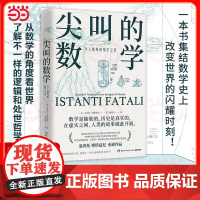 正版书籍 尖叫的数学-令人惊叹的数学之美 数学史专家国际杂志《数学史》前主编翁贝托·博塔兹尼带你从数学的角度看世界