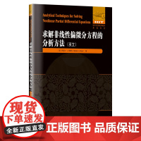 求解非线性偏微分方程的分析方法
