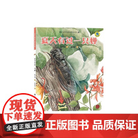 保冬妮绘本昆虫馆/夏天有过一只蝉(精装)