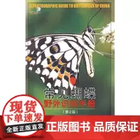 常见蝴蝶野外识别手册