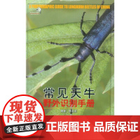 常见天牛野外识别手册