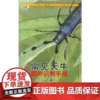 常见天牛野外识别手册