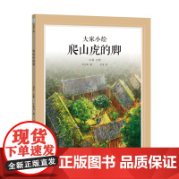 大家小绘系列:爬山虎的脚