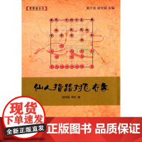 仙人指路对飞右象