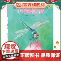 保冬妮绘本昆虫馆/小蜻蜓的梦(精装)