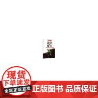 融资魔方——图表诗说金融产业链融资