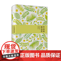 毕淑敏精选集(世纪文学经典)