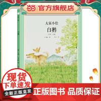 大家小绘系列:白鹅