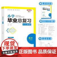 小学毕业总复习.语文 单本塑封