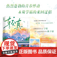 较真 打烊 江苏凤凰文艺出版社 正版书籍