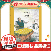 大家小绘 聊斋系列:种梨