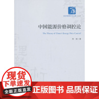 中国能源价格调控论