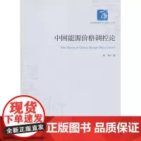中国能源价格调控论