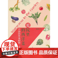 庭院里的西洋菜——中国的外来植物·蔬菜