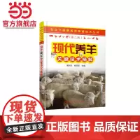 专业户健康高效养殖技术丛书--现代养羊关键技术精解 陶利文 化学工业出版社 正版书籍