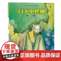 保冬妮绘本昆虫馆/月下小螳螂(精装)