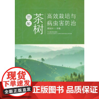 图解茶树高效栽培与病虫害防治