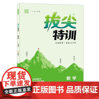 23春小学拔尖特训 数学三年级3年级下·人教版