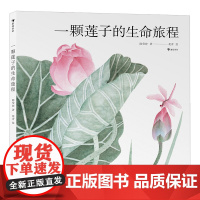 一颗莲子的生命旅程(5-10岁,国画绘出莲的生命轮回,完整展现莲的生命过程,细品传统荷莲文化)