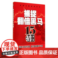 捕捉翻倍黑马十五招(第二版)