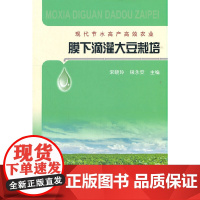 膜下滴灌大豆栽培