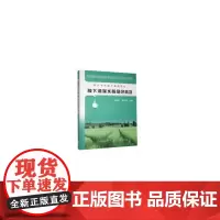 膜下滴灌水稻绿色栽培