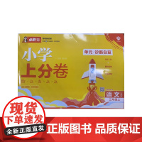 2025版理想树小学上分卷 三年级上册 语文 阶段检测巩固提分 人教版